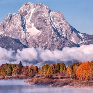 Spring Teton National Park wallpaper