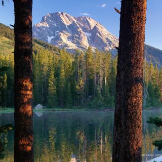 Spring Teton National Park wallpaper