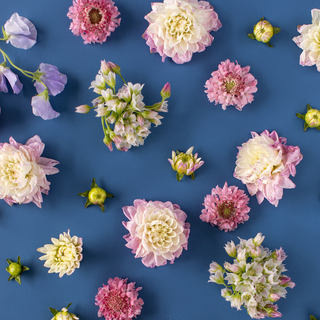 Clean spring wallpaper