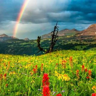 Spring Teton National Park wallpaper