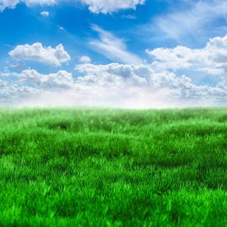 Clean spring wallpaper