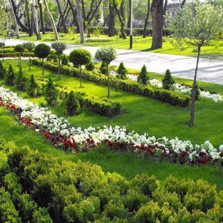 Clean spring wallpaper