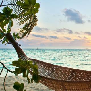 Summer vibes beach wallpaper