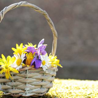 Spring basket wallpaper