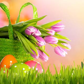 Spring basket wallpaper