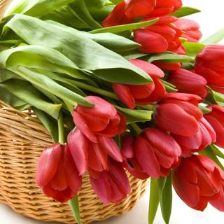 Spring basket wallpaper