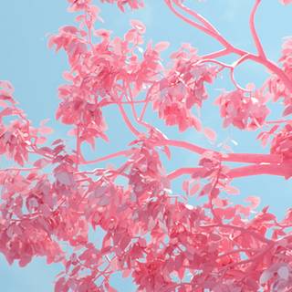 Spring illustration 4k wallpaper