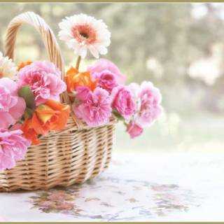 Spring basket wallpaper