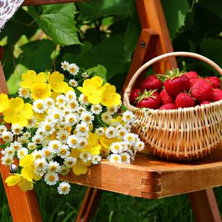 Spring basket wallpaper