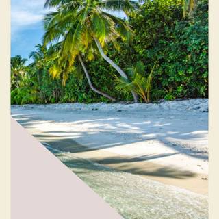 Summer vibes beach wallpaper