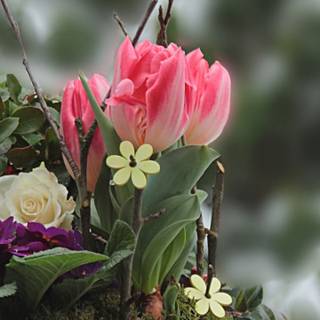 Spring basket wallpaper