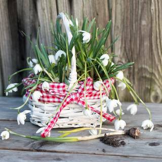 Spring basket wallpaper