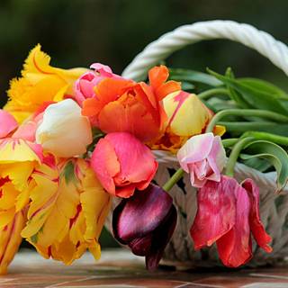 Spring basket wallpaper