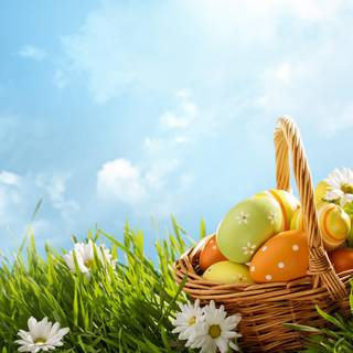 Spring basket wallpaper