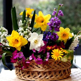 Spring basket wallpaper