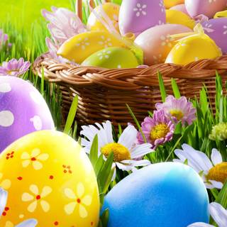 Spring basket wallpaper