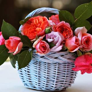 Spring basket wallpaper