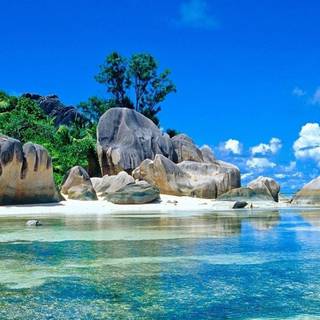 Nature summertime wallpaper