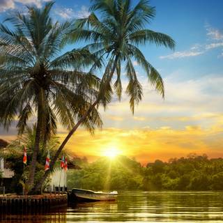 Nature summertime wallpaper