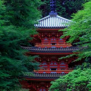 Spring Japan mobile wallpaper