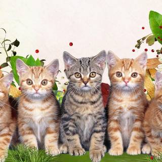 Spring animals and flowers wallpaper
