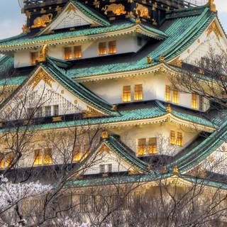 Spring Japan mobile wallpaper