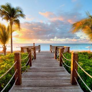 Nature summertime wallpaper