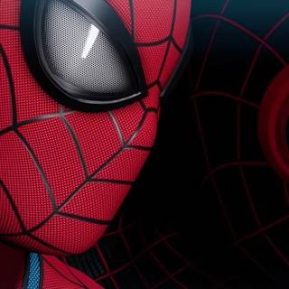 Spider-Man: Into the Spider-Verse (2023) wallpaper