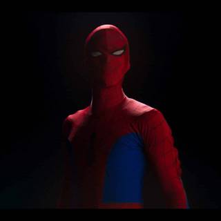 Spider-Man: Into the Spider-Verse (2023) wallpaper