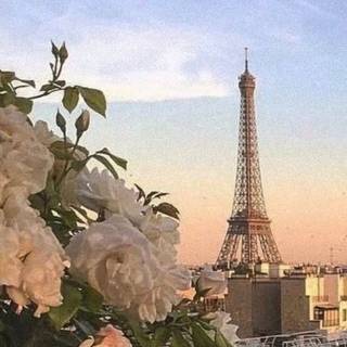 Summer aesthetic France wallpaper