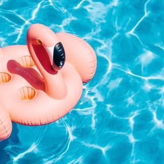 Swimming summer wallpaper