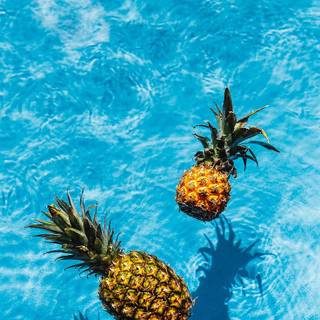 Swimming summer wallpaper