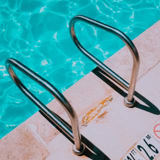 Swimming summer wallpaper