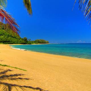 Summer 2023 wallpaper