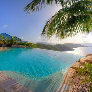 Swimming summer wallpaper