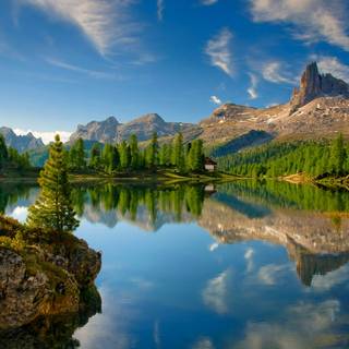 Cabin summer wallpaper