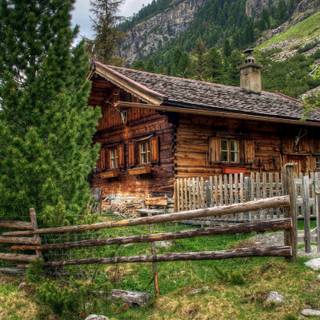 Cabin summer wallpaper