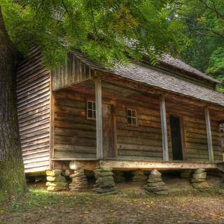 Cabin summer wallpaper