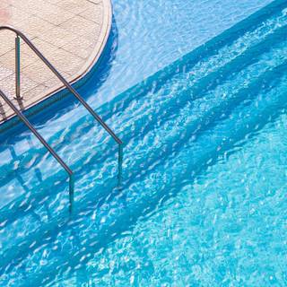 Swimming summer wallpaper