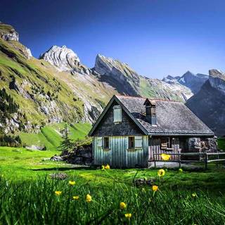 Cabin summer wallpaper