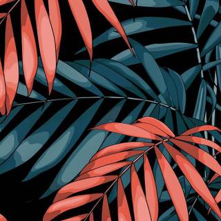 Summer 2023 wallpaper