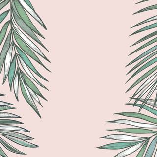 Summer 2023 wallpaper