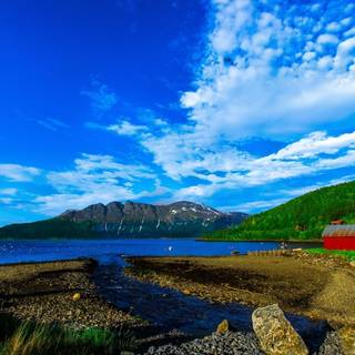 Cabin summer wallpaper