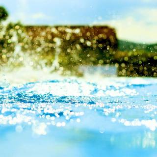 Swimming summer wallpaper