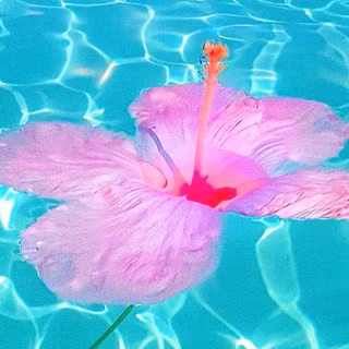 Vibrant summer aesthetic wallpaper