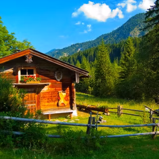 Cabin summer wallpaper