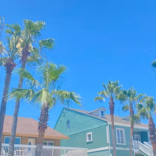 Vibrant summer aesthetic wallpaper