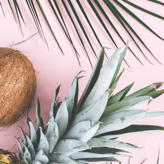 Summer 2023 wallpaper