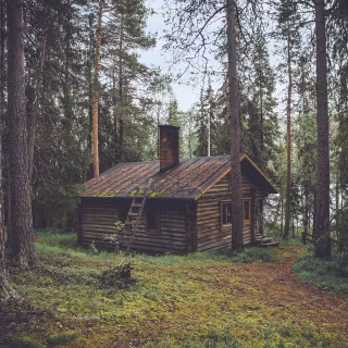 Cabin summer wallpaper