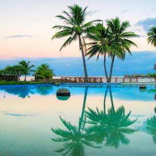 Swimming summer wallpaper